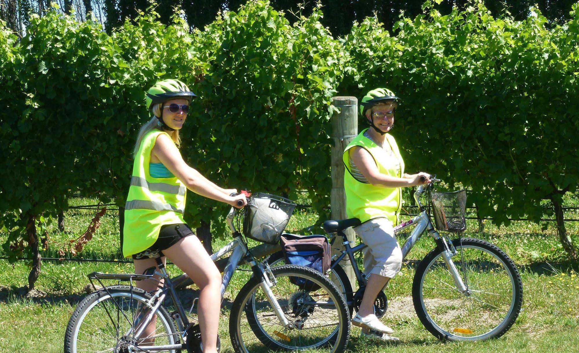 Olde Mill House B&B & Bike2Wine Cycle Hire Renwick Kültér fotó